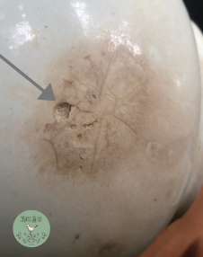 example of ironstone flaws in pieces to avoid